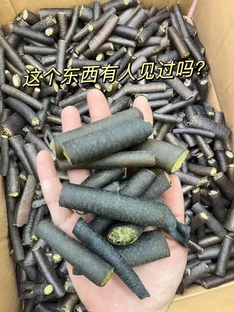 这个东西有人见过吗?这个叫海笋,也叫冰笋,海茸,产自南极智利 - 抖音