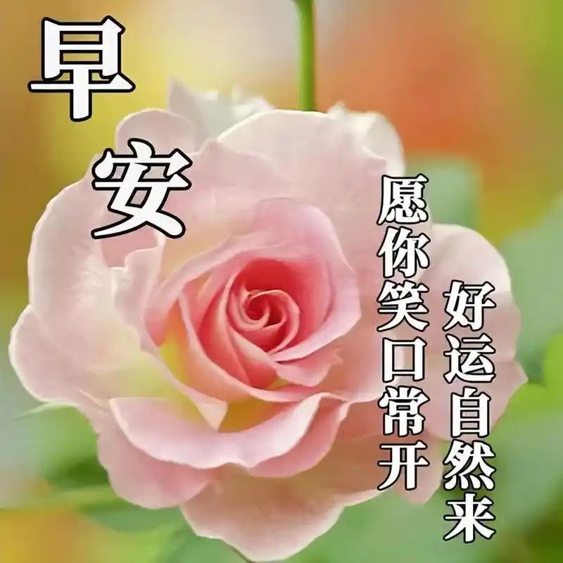早上好图片带字温馨祝福语