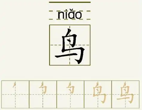 胖的笔顺(胖的笔顺正确写法)