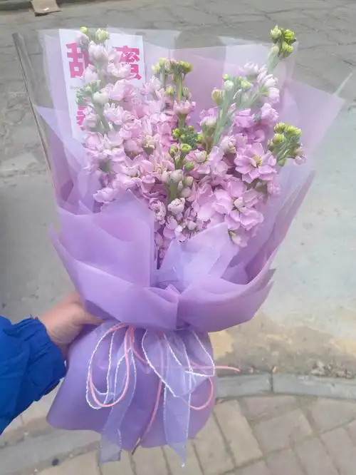 这个花束真的好温柔,好美啊随手一拍都很美紫罗兰花语是:永恒的美和