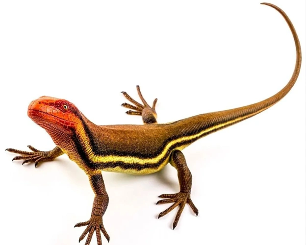 生命的转折点,一场神秘的灭绝|四足动物|蜥蜴|灭绝|两栖动物