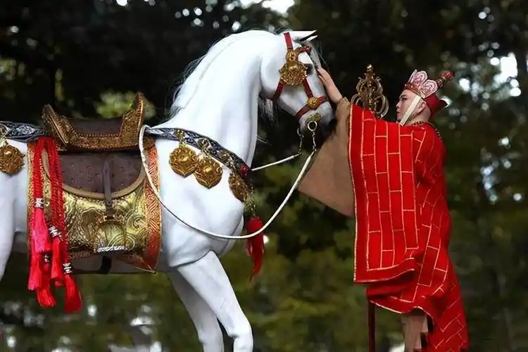 马并没有一个特定的名字,他更多地是以"白龙马"或"龙马"的称呼出现