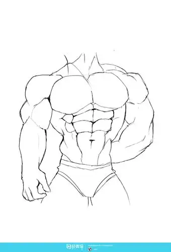 作业:如何学画手绘动漫人物之男性肌肉画法与训练技巧 - 卡蜜尔