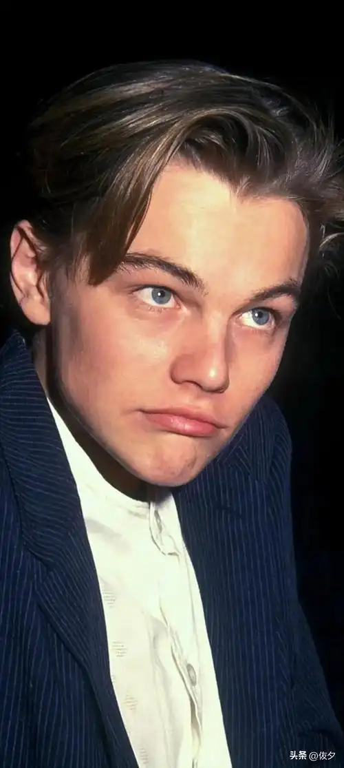 小李子剧照图片壁纸(莱昂纳多壁纸—逝去的巅峰容颜)