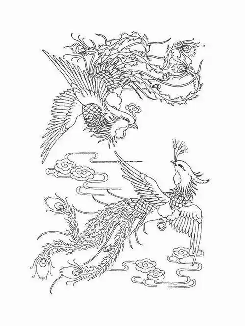 【黑白线稿】高清凤凰白描线稿,赶快收藏