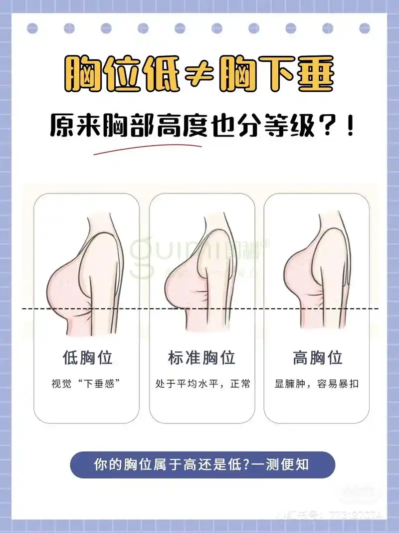 闺秘内衣 👩‍🏫内衣小课堂 🐻高度也分等级⁉胸位低