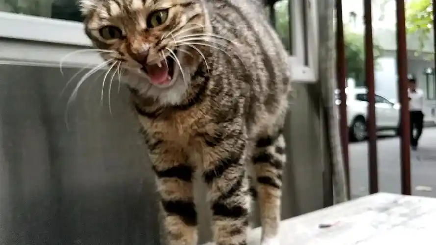 360影视-影视搜索