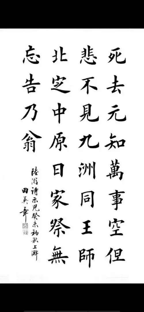 濮阳市实验小学四年级(七)班都泠杉 诗歌鉴赏《示儿》