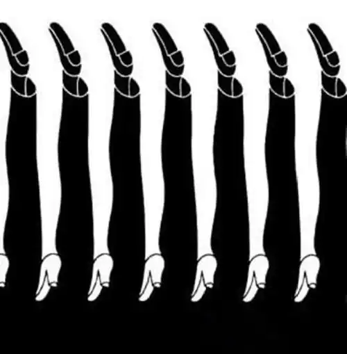 考眼力如果你看到怪鸟叼着孩子而气愤那说明你还年轻啊