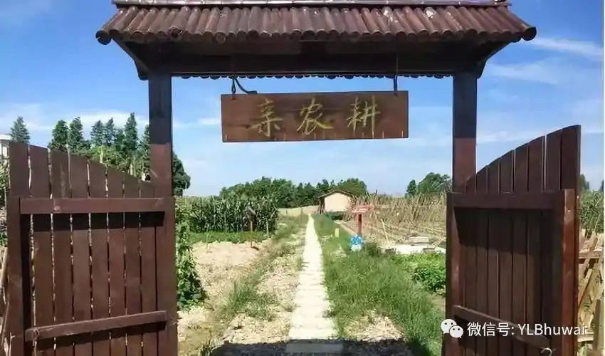 2019年山东广电军事农耕研学夏令营来啦