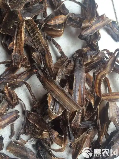 土地龙 各种中草药