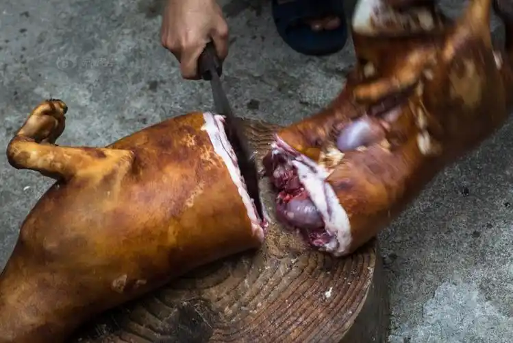 冬天吃狗肉,老屠夫告诉你,忌讳这些! - 简书