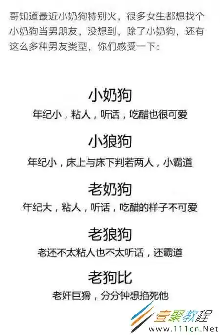 老狼狗是什么梗老狼狗是什么意思