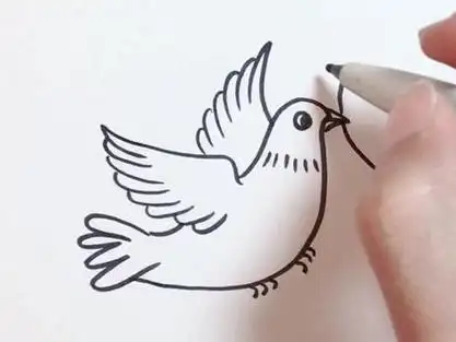 和平鸽子简笔画怎么画#萌知识计划 #简笔画 #简笔画教程 #手绘 #画画