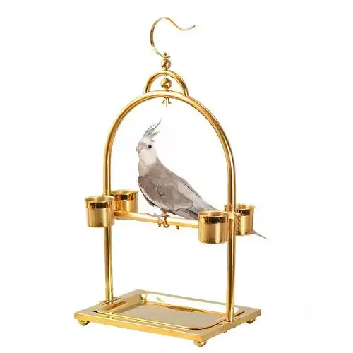 金色挂式站架不锈钢鹦鹉站架鸟笼鸟架子折衷玄凤灰鹦鹉架磨砂自动