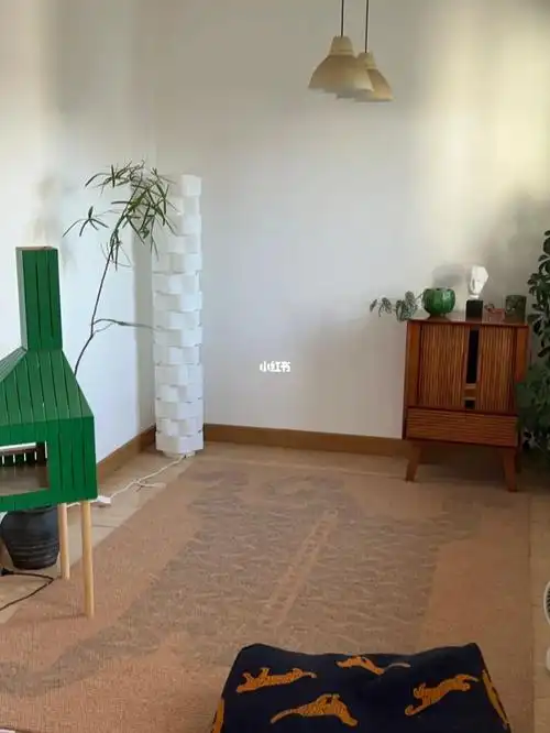 没有电视没有沙发的客厅