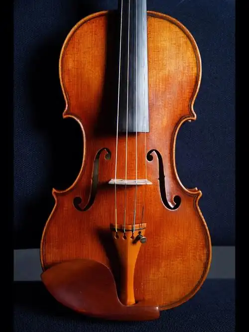 最近演出使用的小提琴