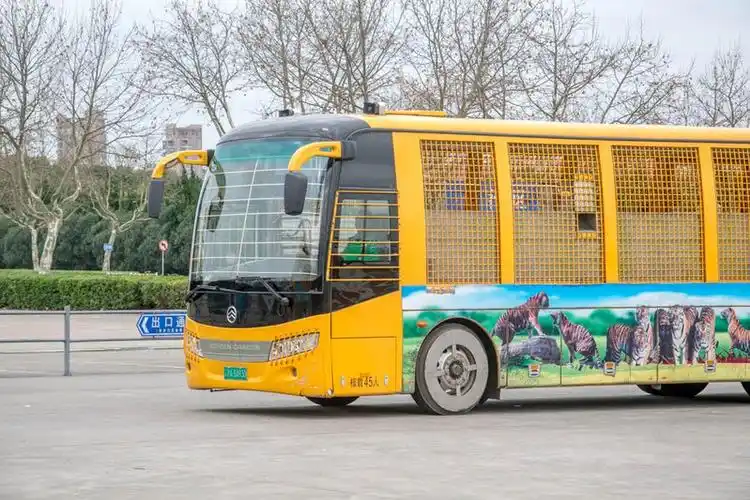 上海野生动物园需要坐专门的车游览,有两种车可选,一种是不收费的普通