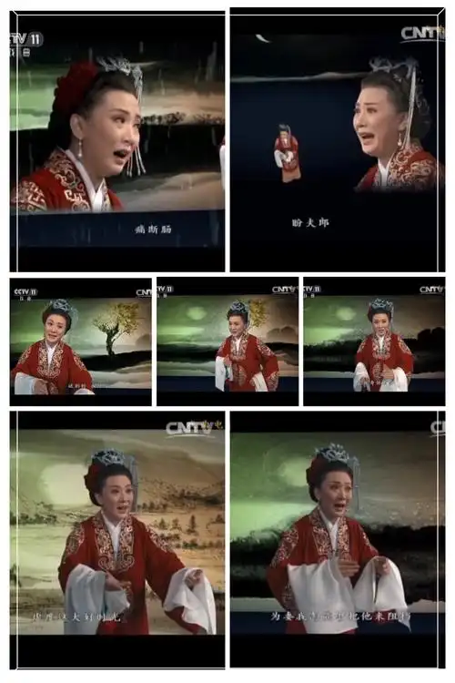 京剧名家袁慧琴老师京剧电影《对花枪》