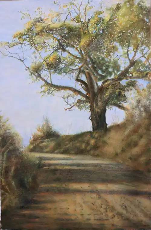 水彩《老榕树》