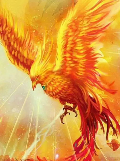 金色火凤凰黄色飞鸟钻石画