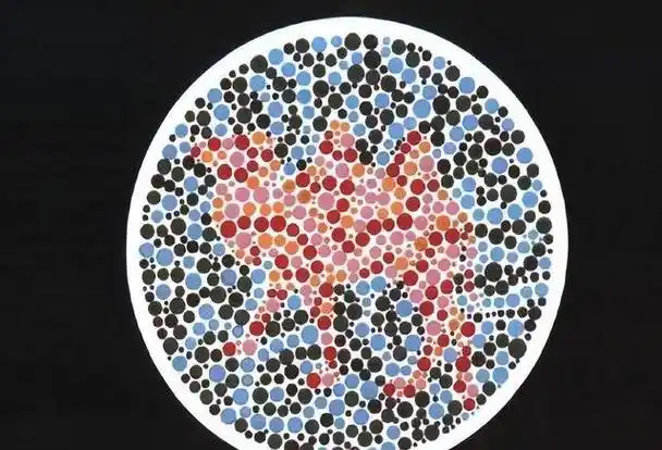 驾考体检色盲检测图是哪一版 - 冷求网