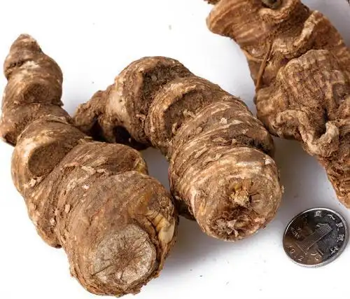 如何栽培中药重楼?这些方面别忽视,农户做对了,高产很简单