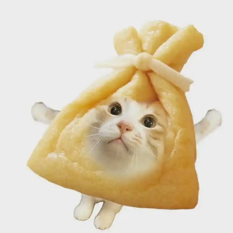 沙雕小猫头像 - 抖音