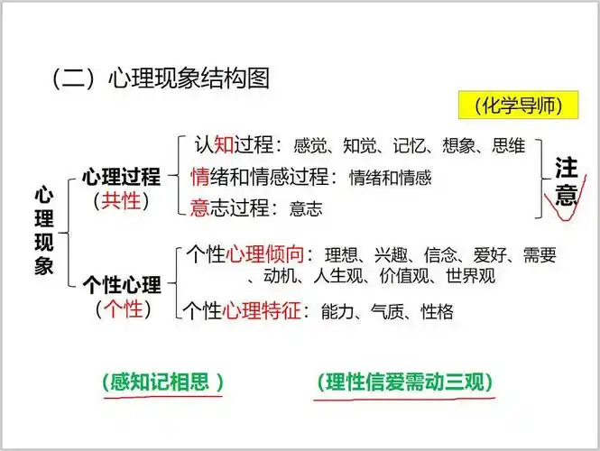 如何记住心理现象结构图上