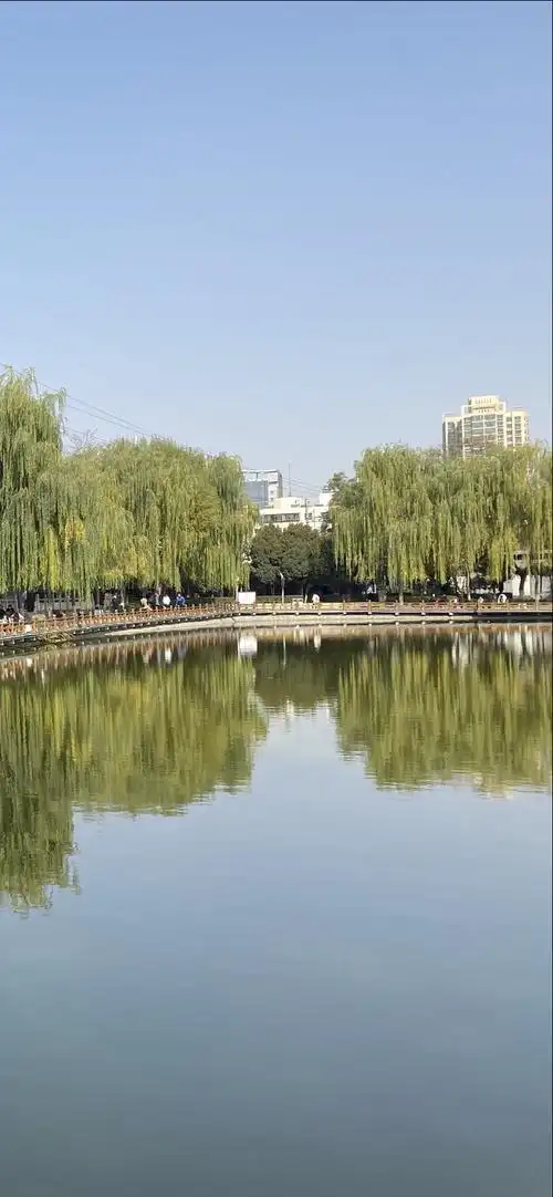 分享一波老年壁纸