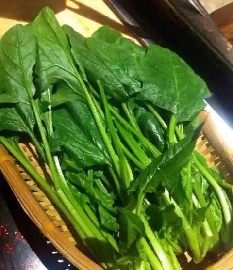 菠菜- 五一广场/司门口的潭王府火锅