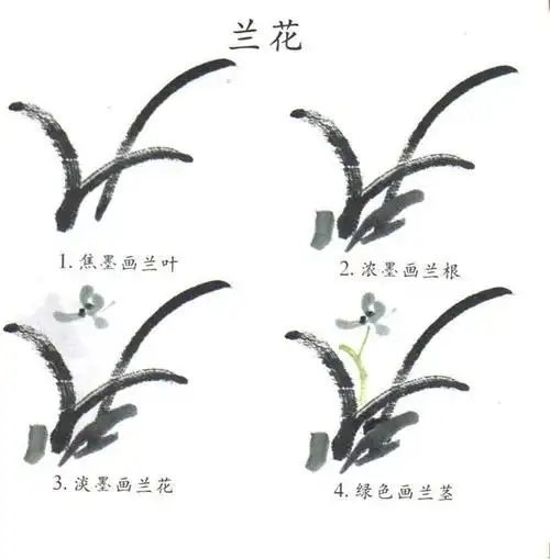 国画入门:最简单的国画兰花画法