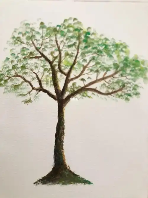 56615树98_水粉画_绘画_手绘_画画_兴趣爱好_绘画