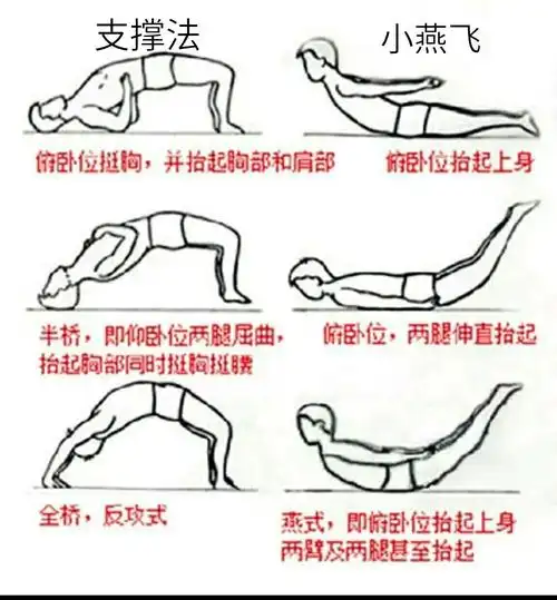 腰背肌锻炼方法