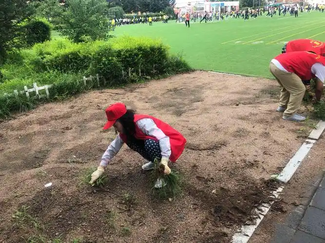 敦化市新时代文明实践:额穆中心校志愿者开展美化校园除草活动