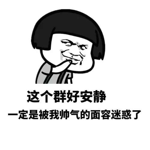 这个群好安静,一定是被我帅气的面容迷惑了