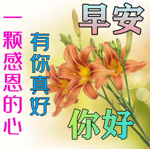2022年4月21日早安祝福表情包,日常早晨好问候美图