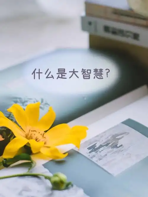 今日分享什么是大智慧