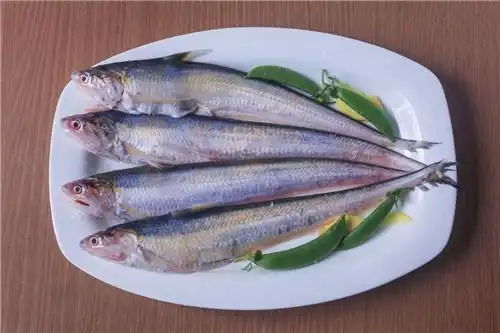 刀鱼图片鉴赏长江刀鱼价格及做法