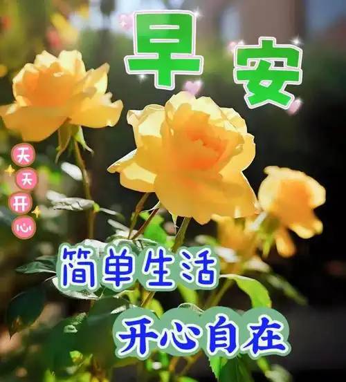 20个早安励志正能量的句子,早安问候语正能量