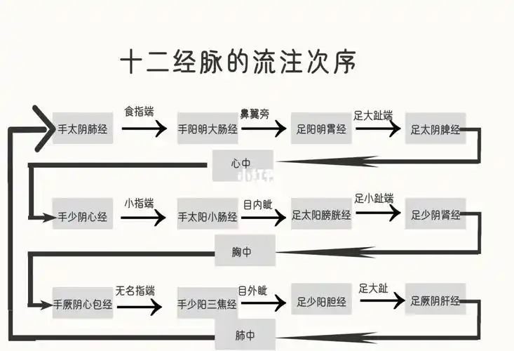 十二经脉流注次序图