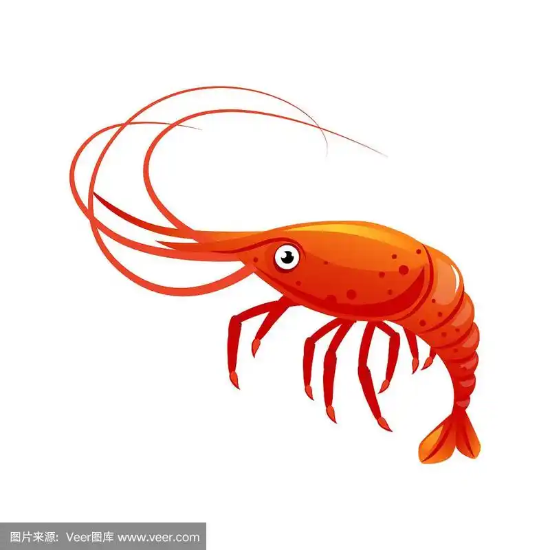 虾类海洋生物和海鲜彩色卡通