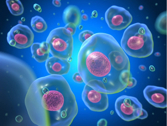 间充质干细胞到底有什么好为什么能治疗疾病