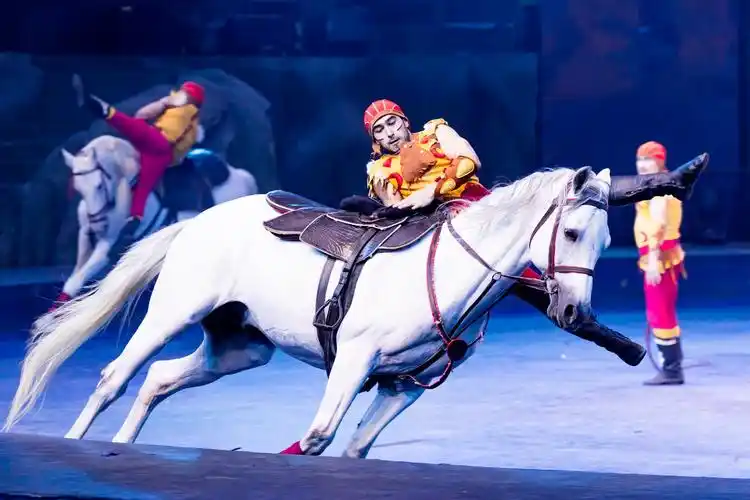 匠心不渝创造传世经典 长隆国际大马戏上演20周年_发现频道_中国青年