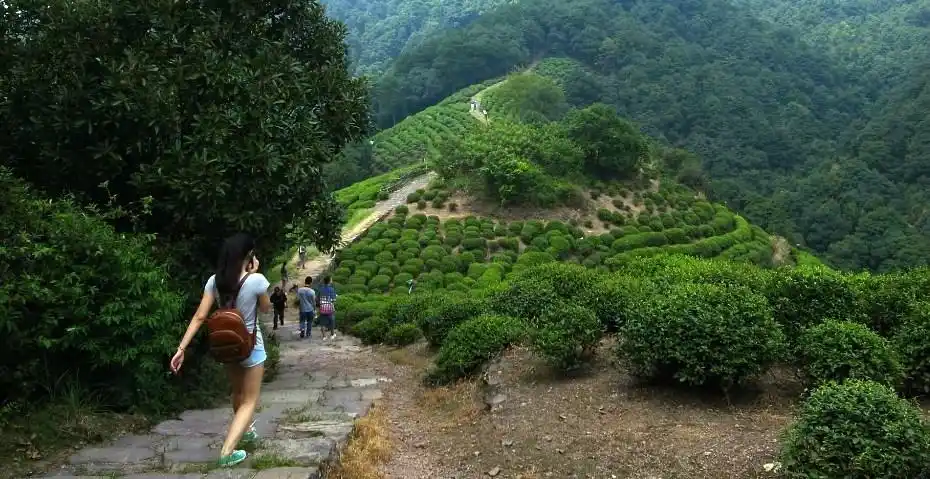 蜜蜂户外 01月17日 杭州西湖群山 轻装徒步1日
