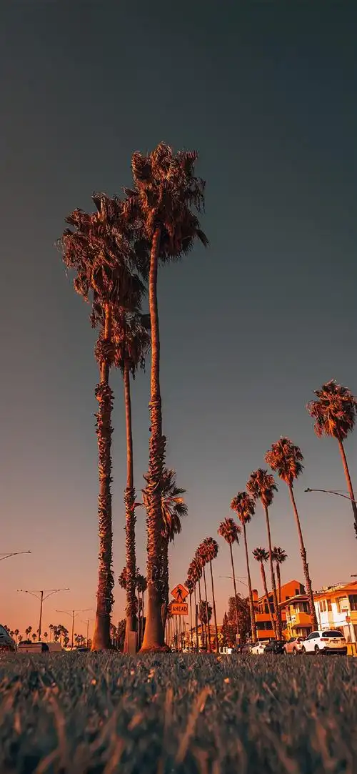 690_1494竖版 竖屏