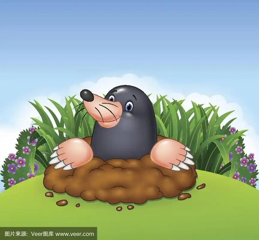 鼹鼠,卡通,乐趣,热带雨林,可爱的