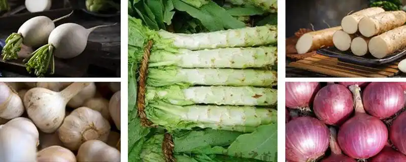 吃茎的蔬菜有哪些