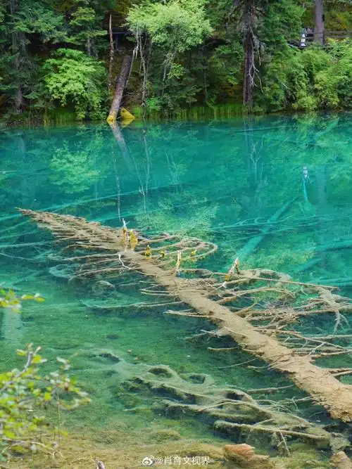 九寨沟之外,神仙池的翡翠海子,美得让人心动!