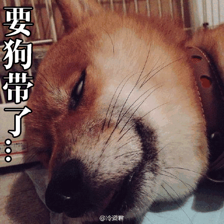 柴犬在表情包届真不是针对谁